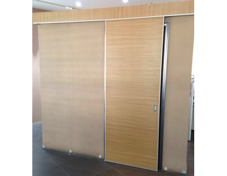 Modern Flush Clinic Door