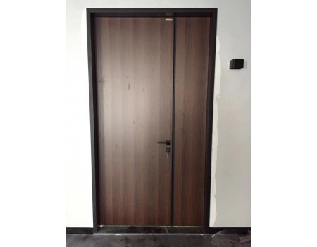 Modern Design Office Swing Door