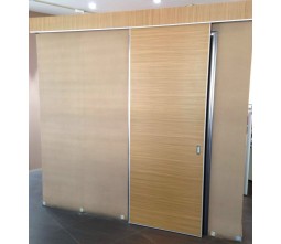 Hospital Wooden Sliding Door