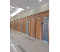 Interior Acoustic School Door