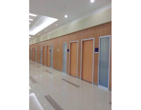 Interior Acoustic School Door