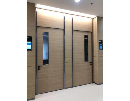 Modern Flush Ward Access doors