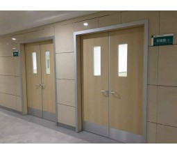 Wooden flush in patient room door