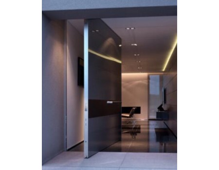 Modern Pivot Entry Door