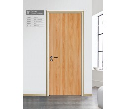 Beautiful Design Modern Office Door