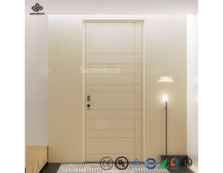 Exterior Doors Pivot Door Modern Stainless Steel Entry Aluminum Strips Front Door