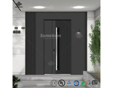 Modern Design Steel Entrance Aluminum Security Steel Pivot Doors Front Entry Main Exterior Interior Doors for Hotel Villa Entry