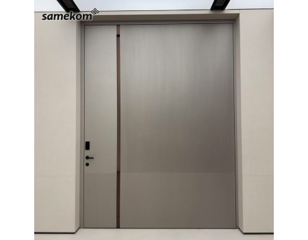 Aluminum Alloy Modern Waterproof Exterior Pivot Door for Commercial Use-Outdoor Entry Gate