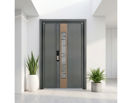 Single Entry Door American Style Modern Front Entry Security Door Modern Design