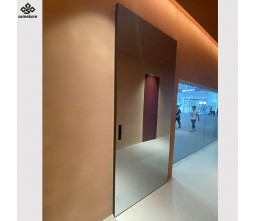 Mirrored Ghost Sliding Door Trackless Hidden Rail Full Length Mirror Interior Door for Bedroom Closet Villa