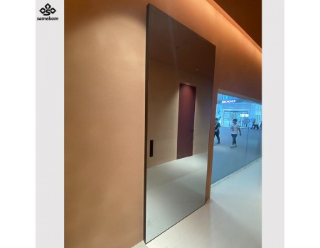 Mirrored Ghost Sliding Door Trackless Hidden Rail Full Length Mirror Interior Door for Bedroom Closet Villa